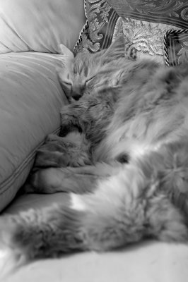 DSC_0905ret.JPG