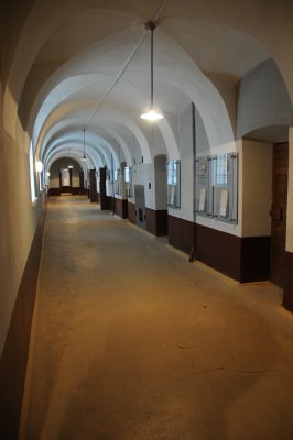 DSC_9392.JPG