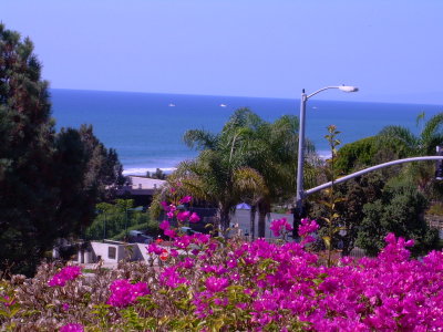 DelMar_52.JPG