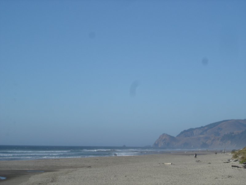 DSC02729.JPG