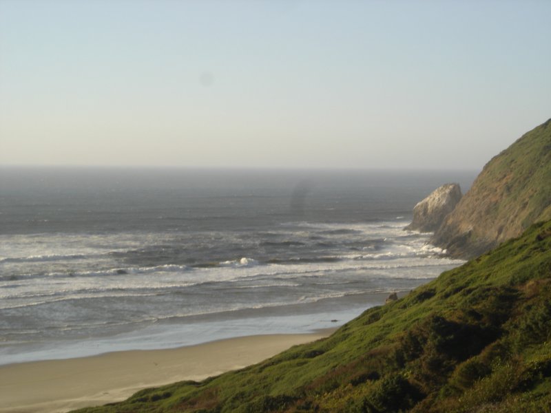 DSC02985.JPG