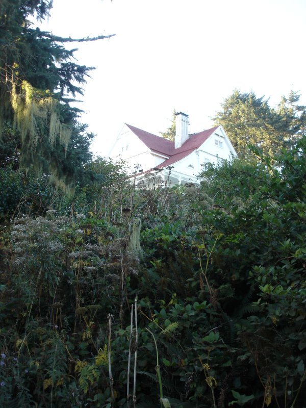 DSC03007.JPG