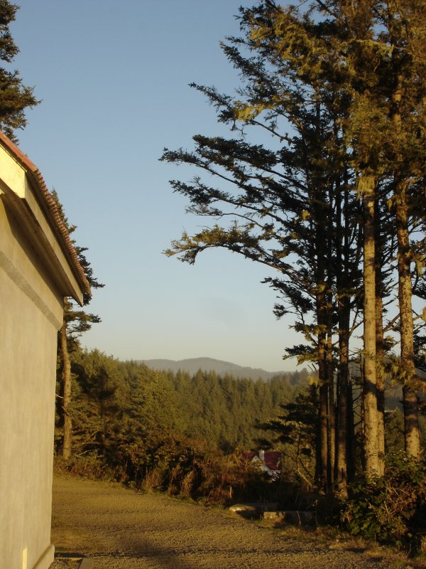DSC03039.JPG