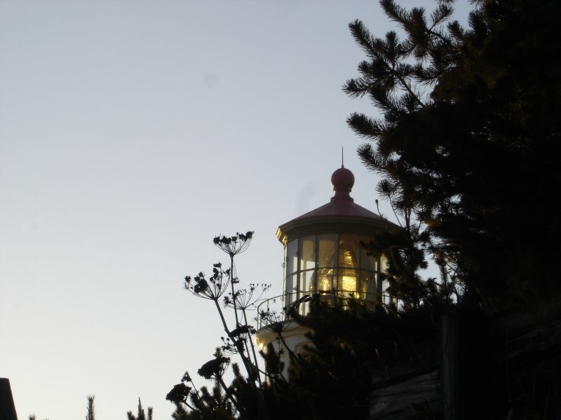 DSC03040.JPG