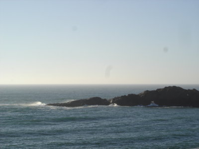 DSC02742.JPG