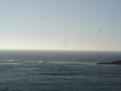 DSC02749.JPG