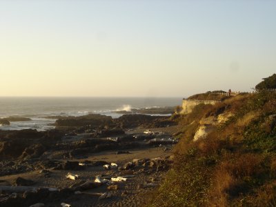 DSC02765.JPG