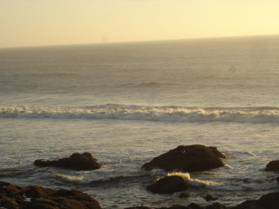DSC02768.JPG