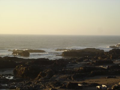 DSC02772.JPG