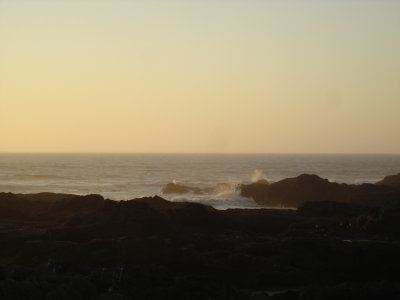 DSC02779.JPG