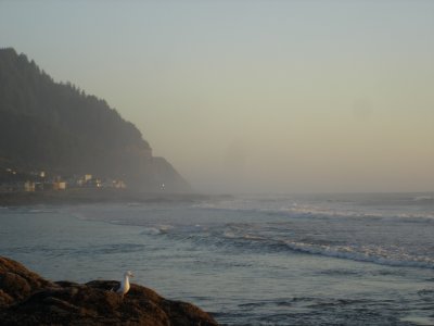 DSC02785.JPG