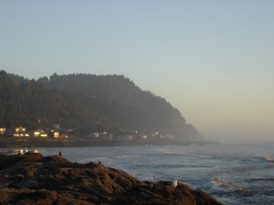 DSC02786.JPG