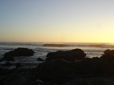 DSC02787.JPG