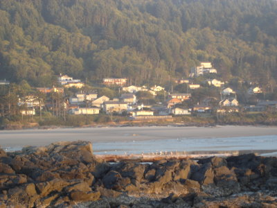 DSC02790.JPG