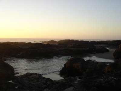 DSC02792.JPG