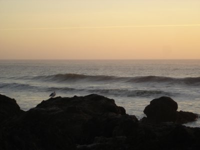 DSC02795.JPG