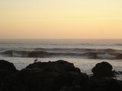 DSC02797.JPG