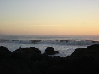 DSC02798.JPG
