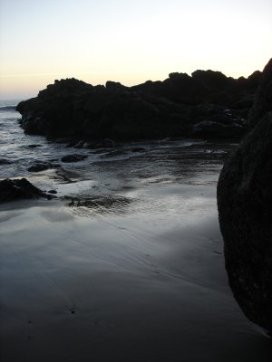 DSC02811.JPG
