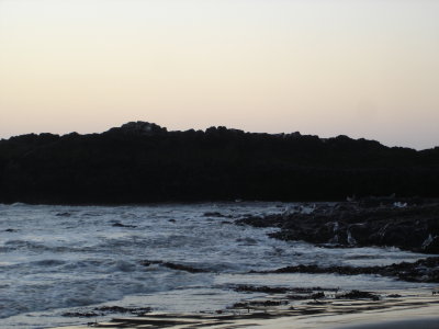 DSC02814.JPG