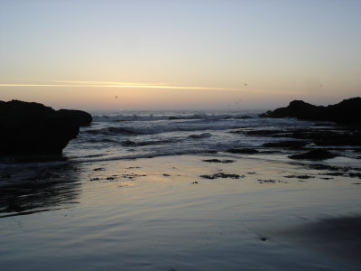 DSC02819.JPG