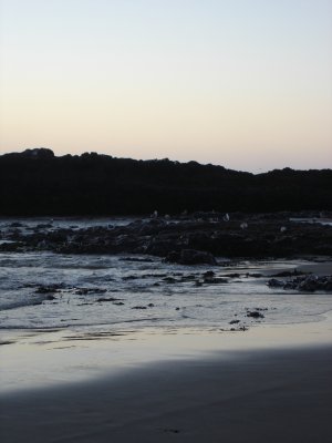 DSC02822.JPG