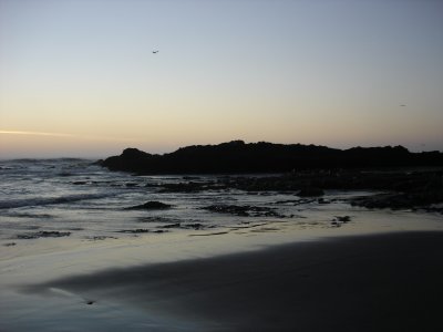 DSC02823.JPG