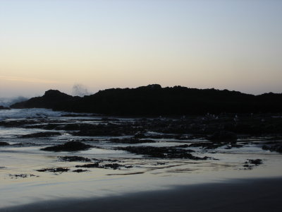 DSC02824.JPG