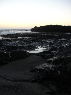 DSC02827.JPG