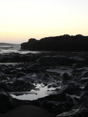 DSC02828.JPG