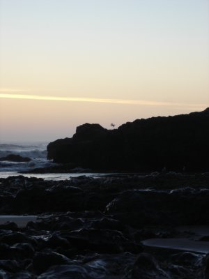 DSC02831.JPG