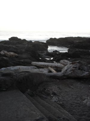 DSC02835.JPG