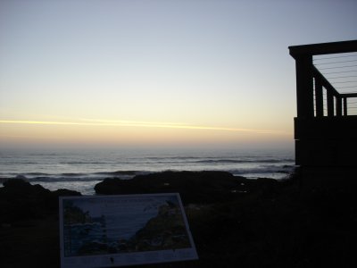 DSC02837.JPG