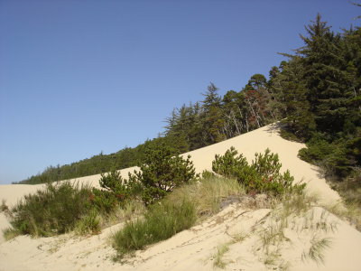 DSC02940.JPG