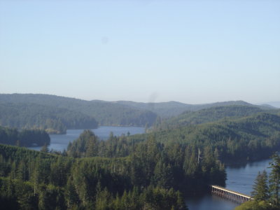 DSC02971.JPG