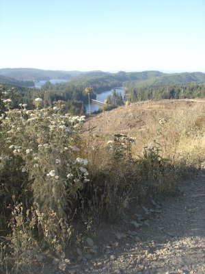DSC02981.JPG