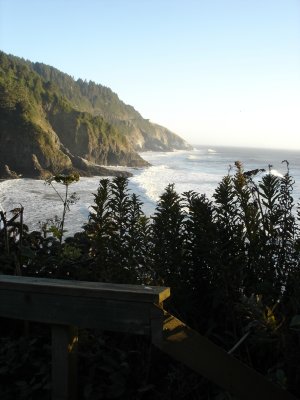 DSC03010.JPG