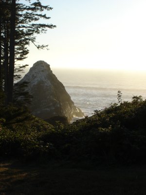 DSC03017.JPG