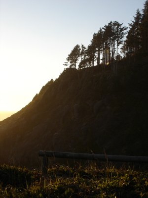 DSC03042.JPG