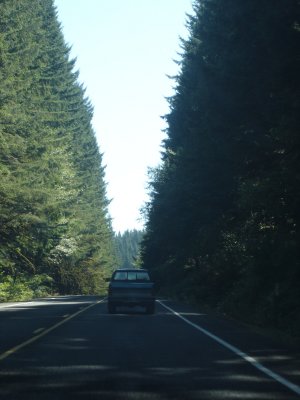 DSC03097.JPG