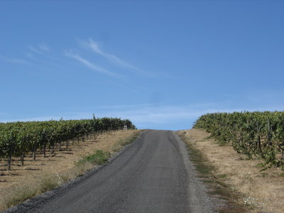 DSC03099.JPG