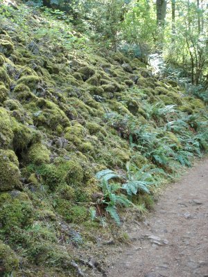 DSC02635.JPG