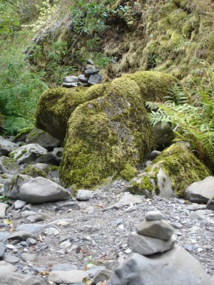 DSC02655.JPG