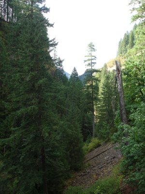 DSC02687.JPG