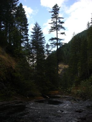 DSC02692.JPG