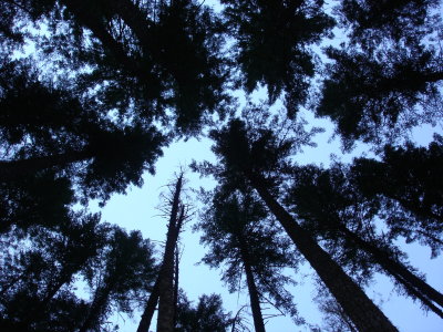 DSC02698.JPG