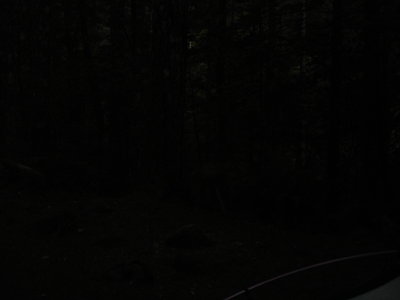DSC02702.JPG