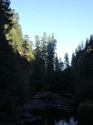 DSC02713.JPG