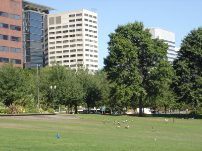 DSC02532.JPG