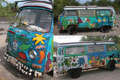 Magical Tropical Van